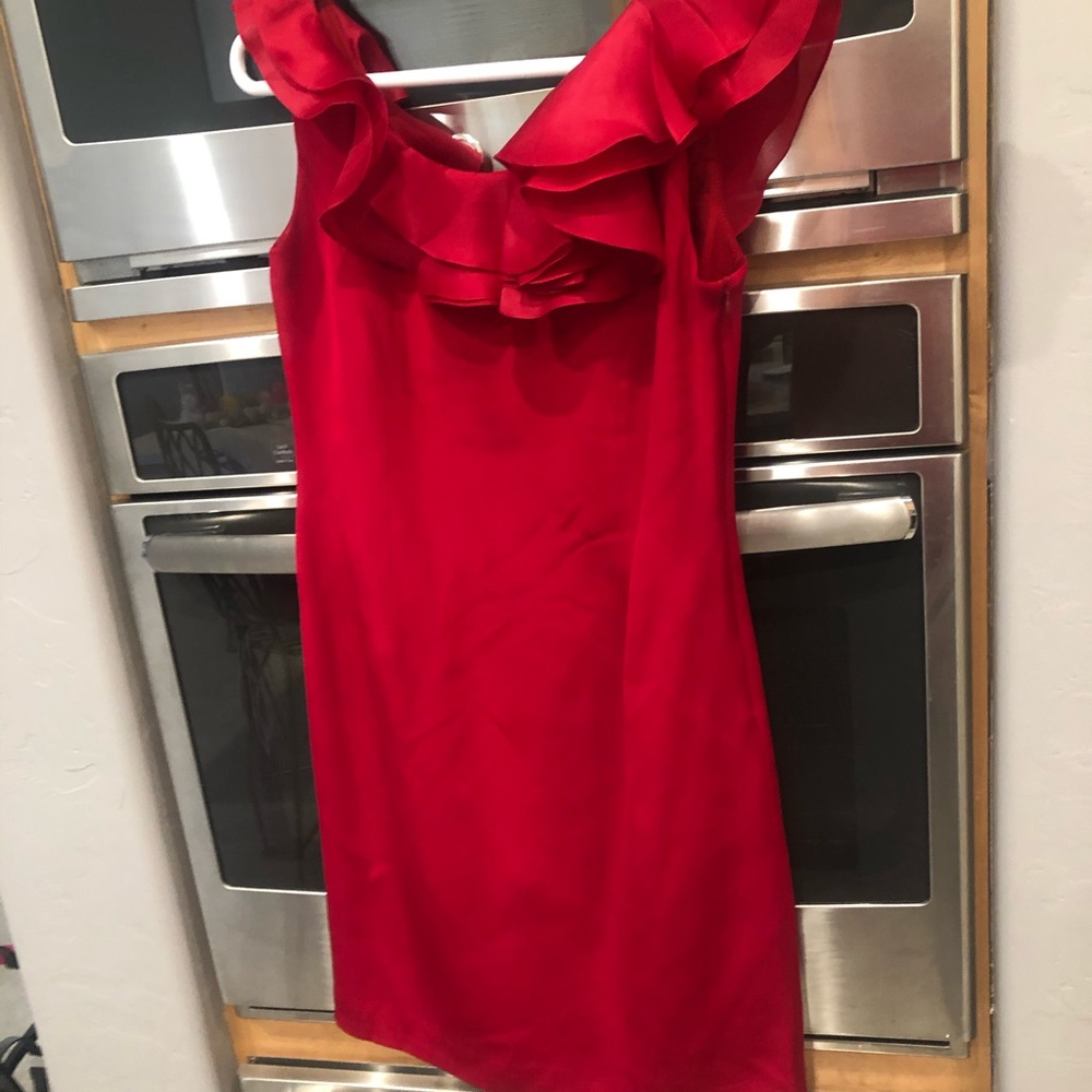 Flores & Flores beautiful silk dress size 4 NWT
